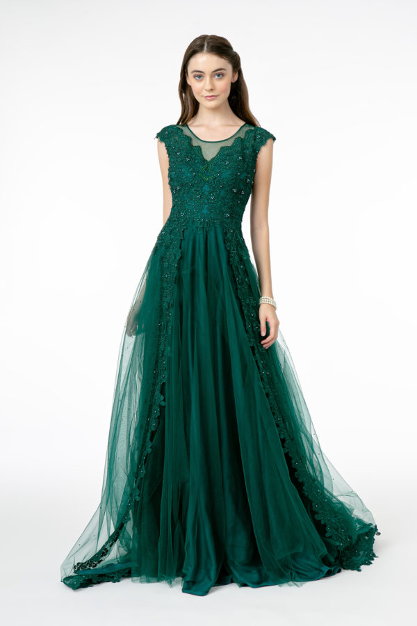 Embroidered Mesh A-Line Long Dress w/ Sheer Back-1