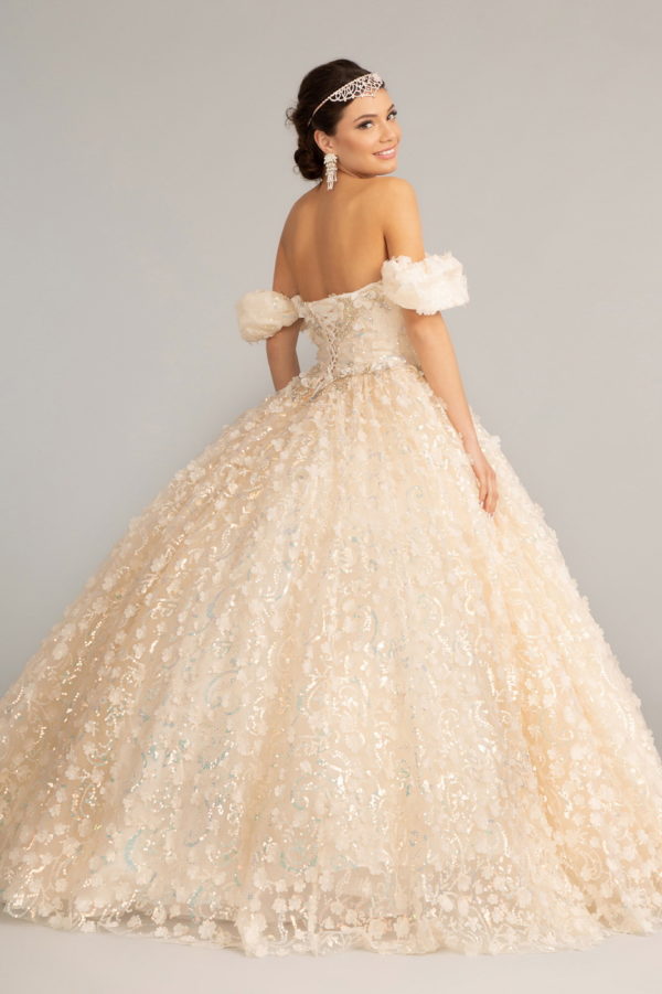 Jewel Embellished Mesh Quinceanera Ball Gown w/ 3-D Applique and Corset-3