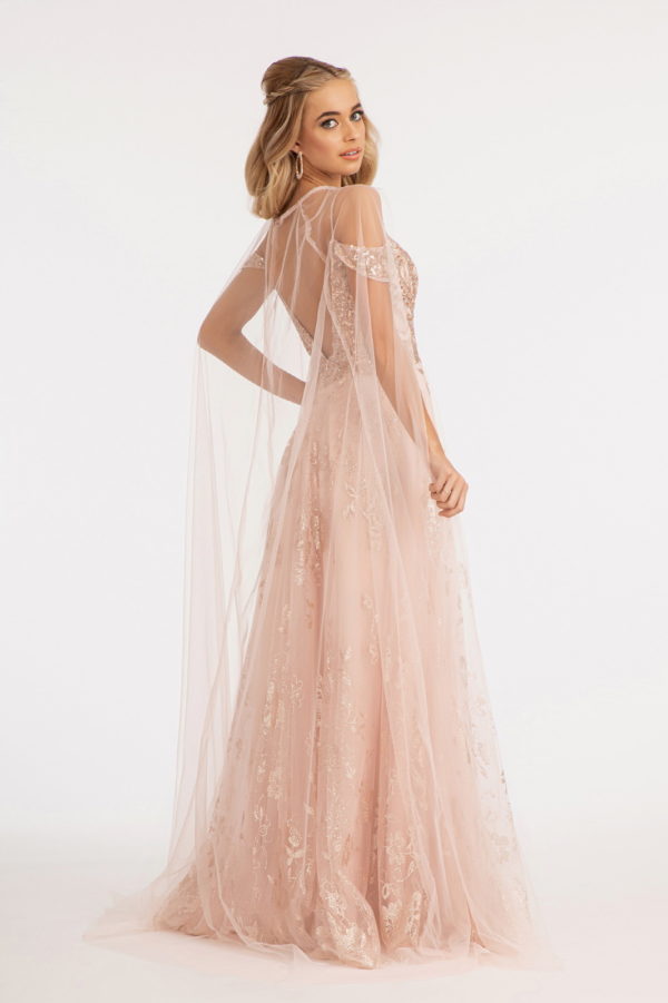Illusion V-Neck Embroidered Mesh A-line Dress w/ Open V-Back-4