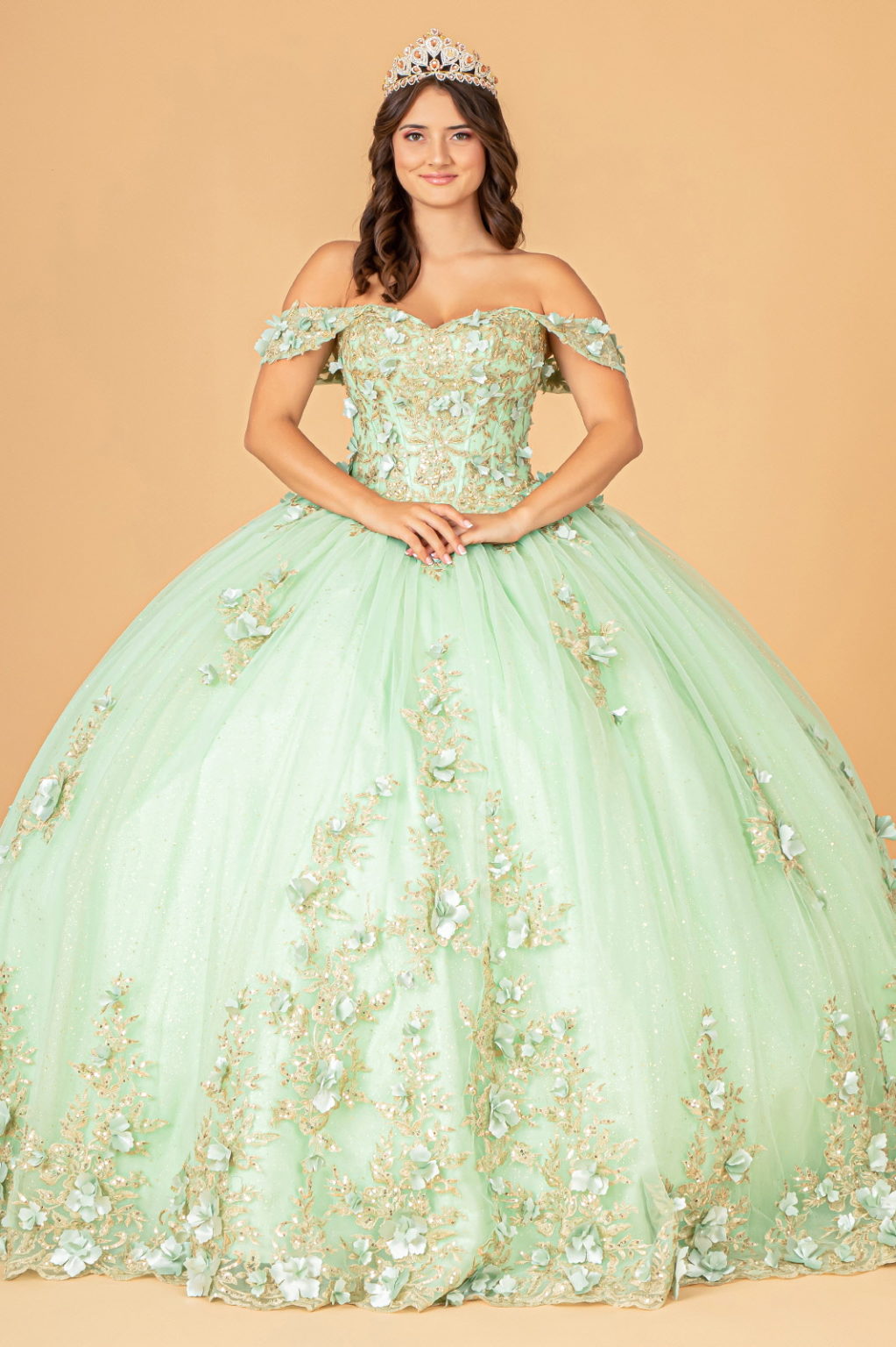 3-D Flower Applique Sweetheart Neckline Mesh Quinceanera Ball Gown-1