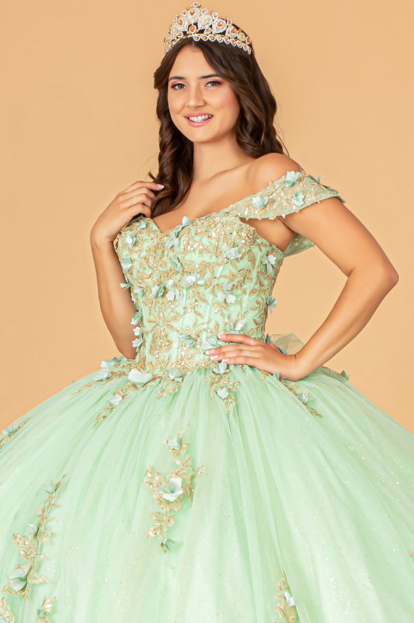 3-D Flower Applique Sweetheart Neckline Mesh Quinceanera Ball Gown-4