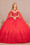 3-D Butterfly Applique Glitter Quinceanera Gown w/ Long Mesh Layer-5