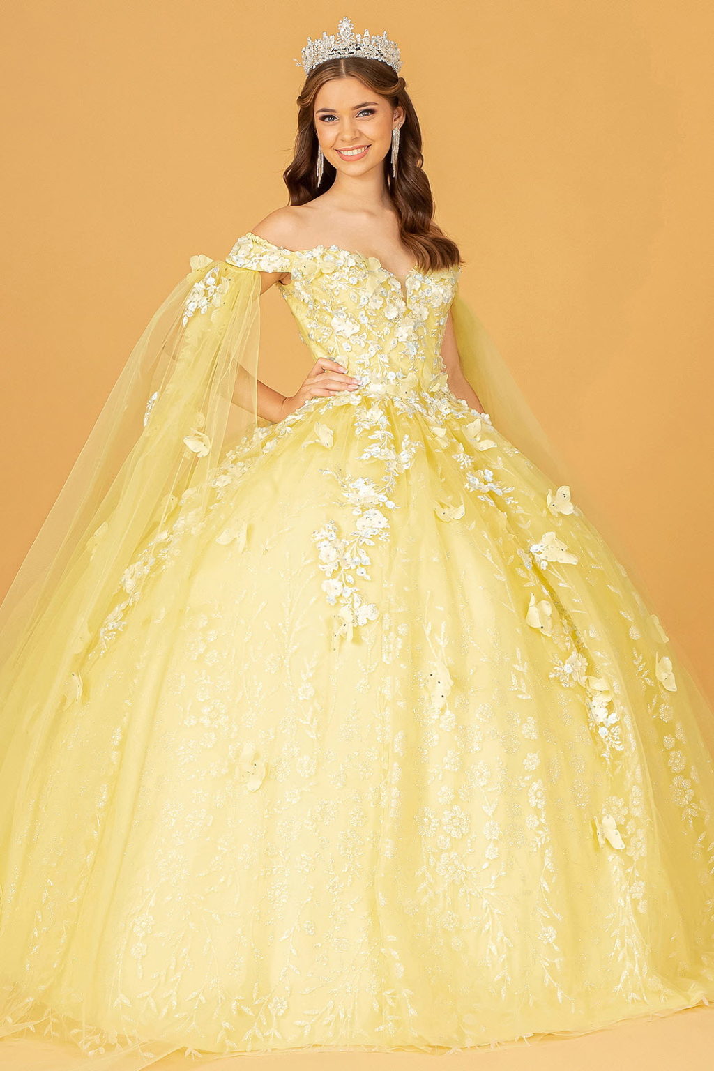 Embroidery Glitter Quinceanera Gown w/ Long Mesh Layer-1