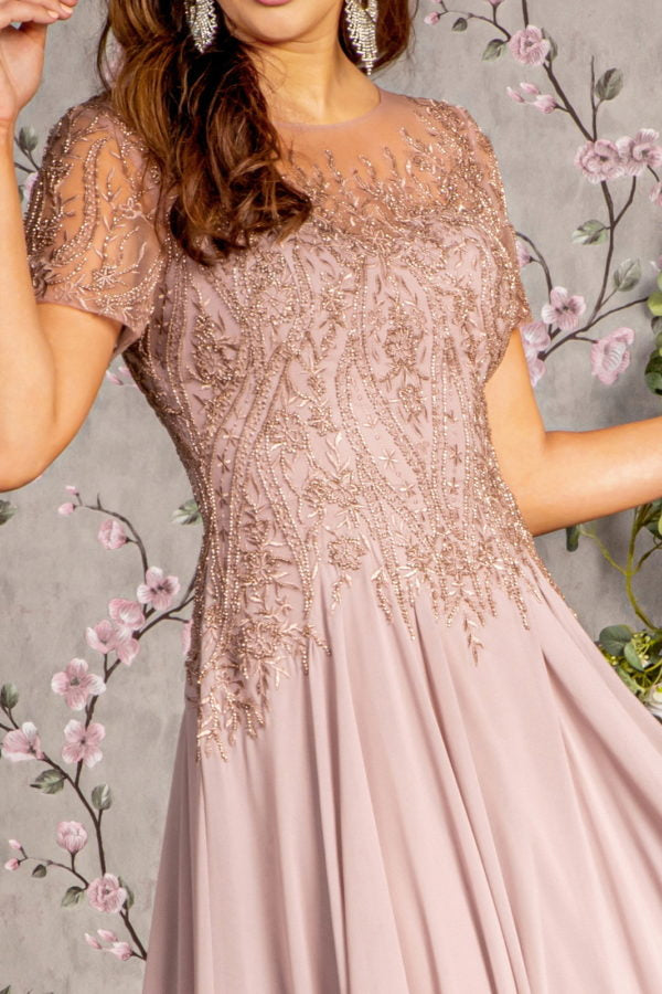 Bead Embroidery Sheer Short Sleeves A-line Mesh Long Dress-3