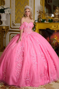 3d Flower Applique Embellished Off Shoulder Straps Glitter Underlayer Ball Gown-0
