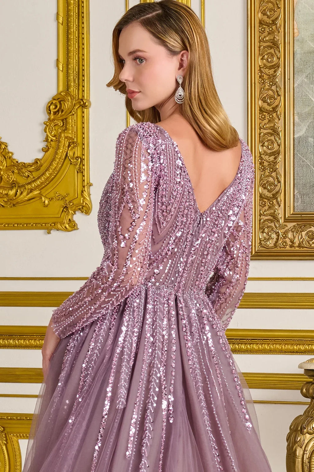 Embellished V Neckline Long Sleeves Zipper V Back A Line Dress With Overskirt-3
