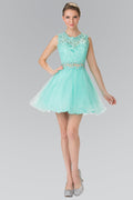 Sleeveless Short Dress with Lace Bodice and Sheer Waistline-7