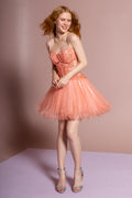 Spaghetti Straps Short Tulle Dress with Lace Bodice-5