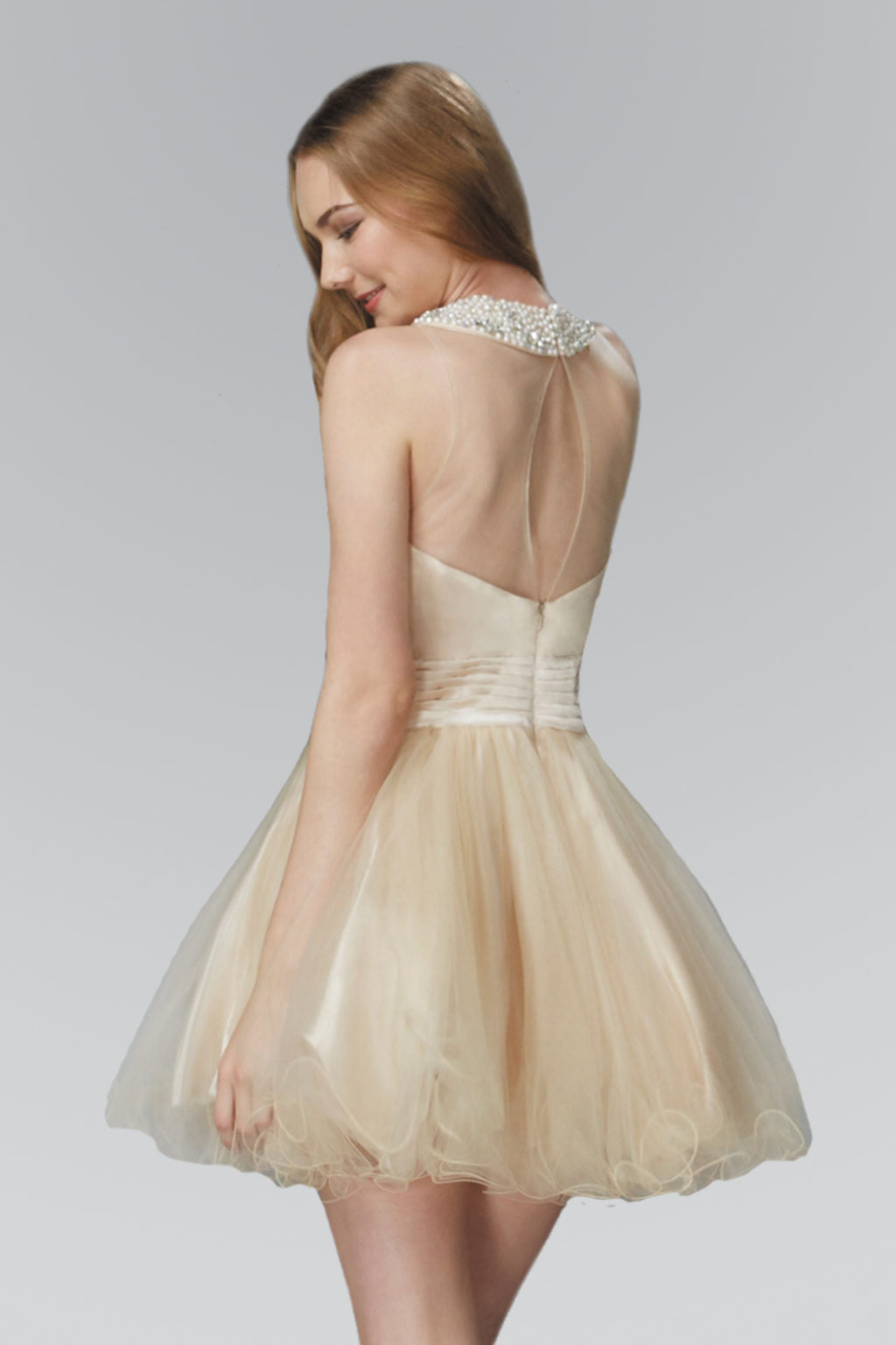Embroidered Tulle Short Dress with Beaded Collar and Illusion Sweetheart Neckline-0