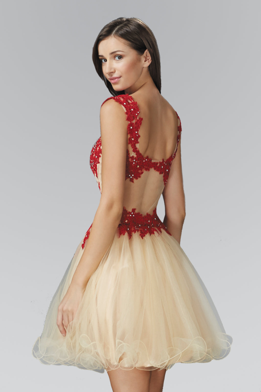 Rolled Hem Short Tulle Dress with Floral Lace Embellished Bodice-1