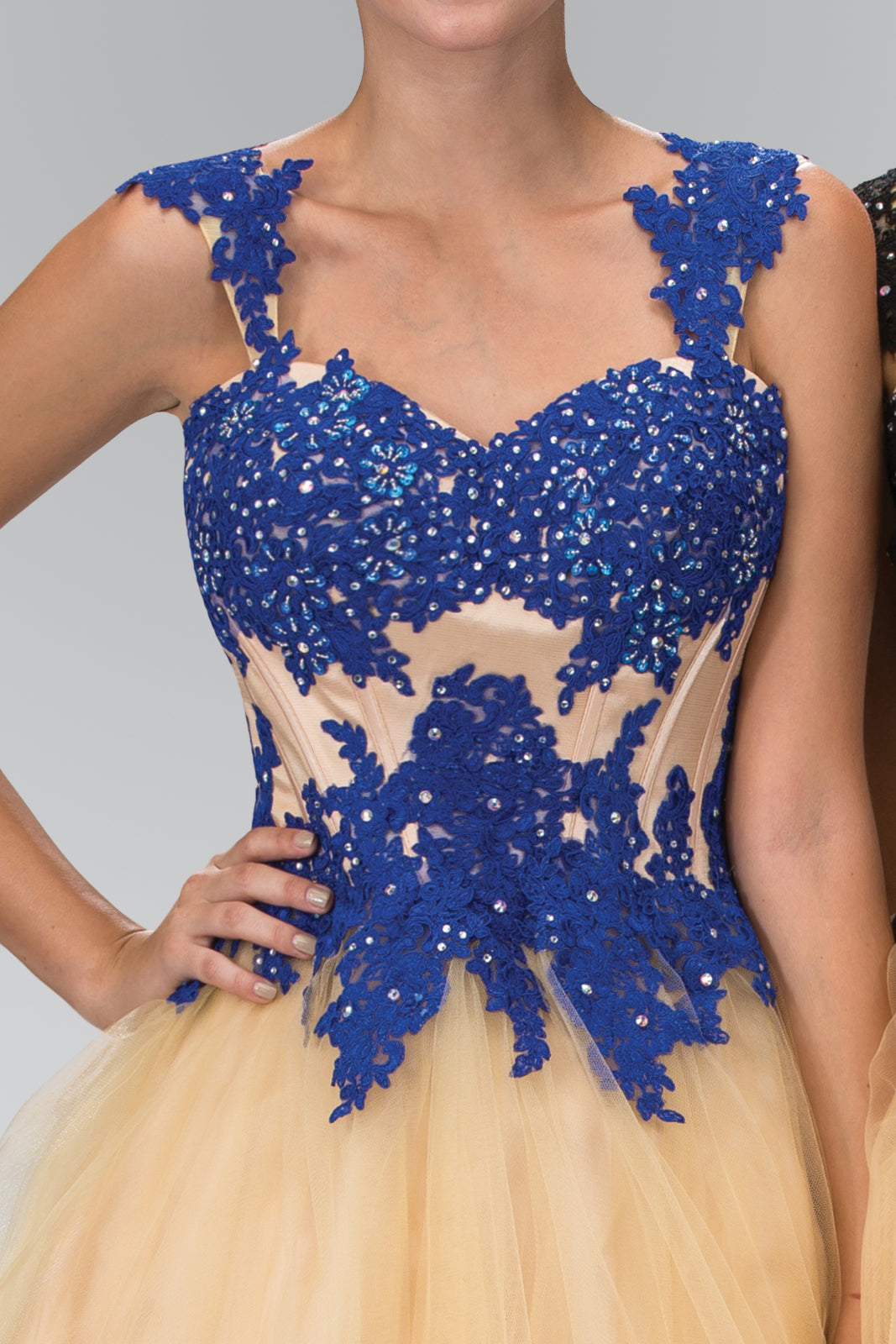 Rolled Hem Short Tulle Dress with Floral Lace Embellished Bodice-2