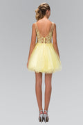 Rolled Hem Short Dress with Sheer Bodice-0