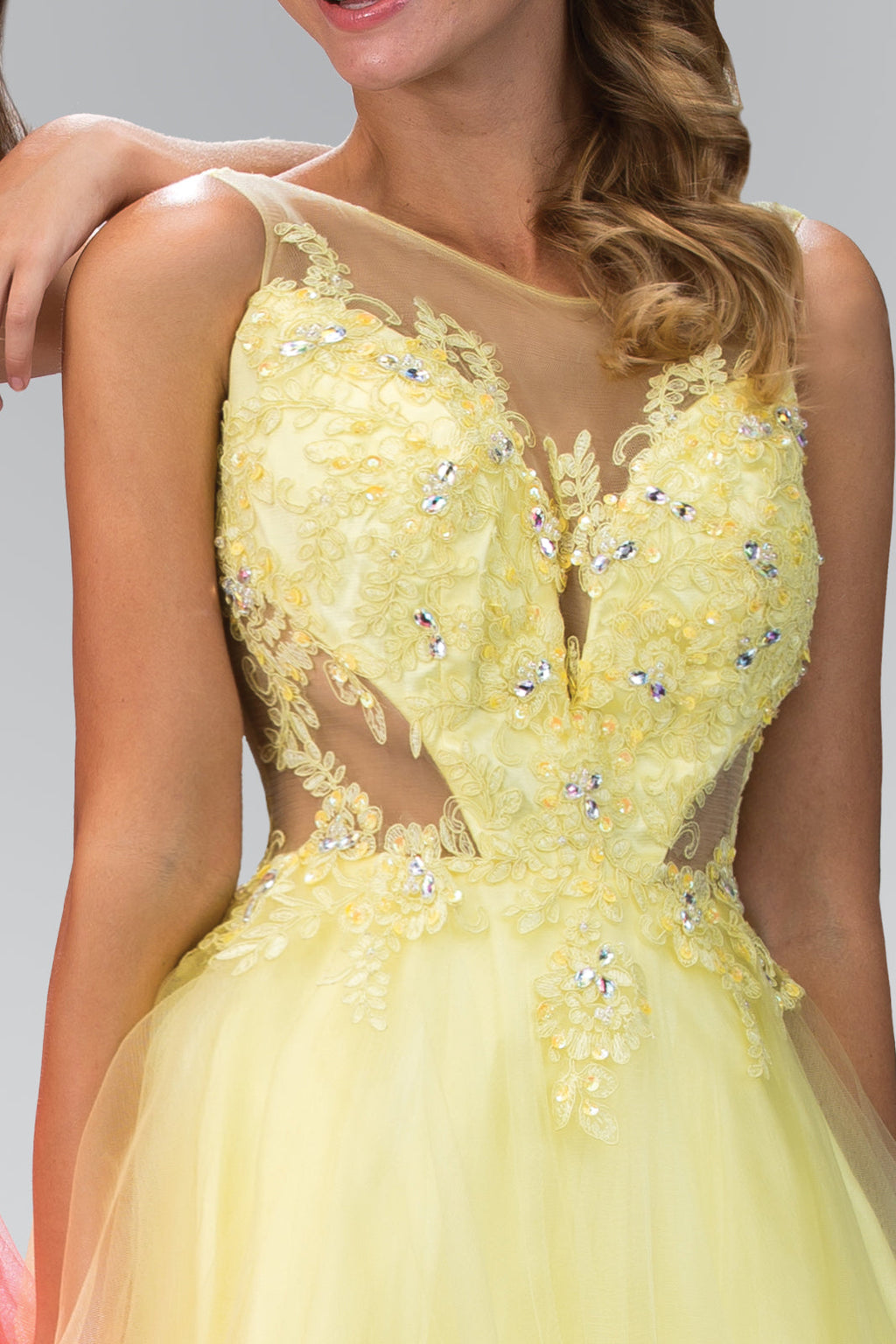 Rolled Hem Short Dress with Sheer Bodice-1