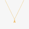 Classic Initial Pendant Necklace (50cm)-0