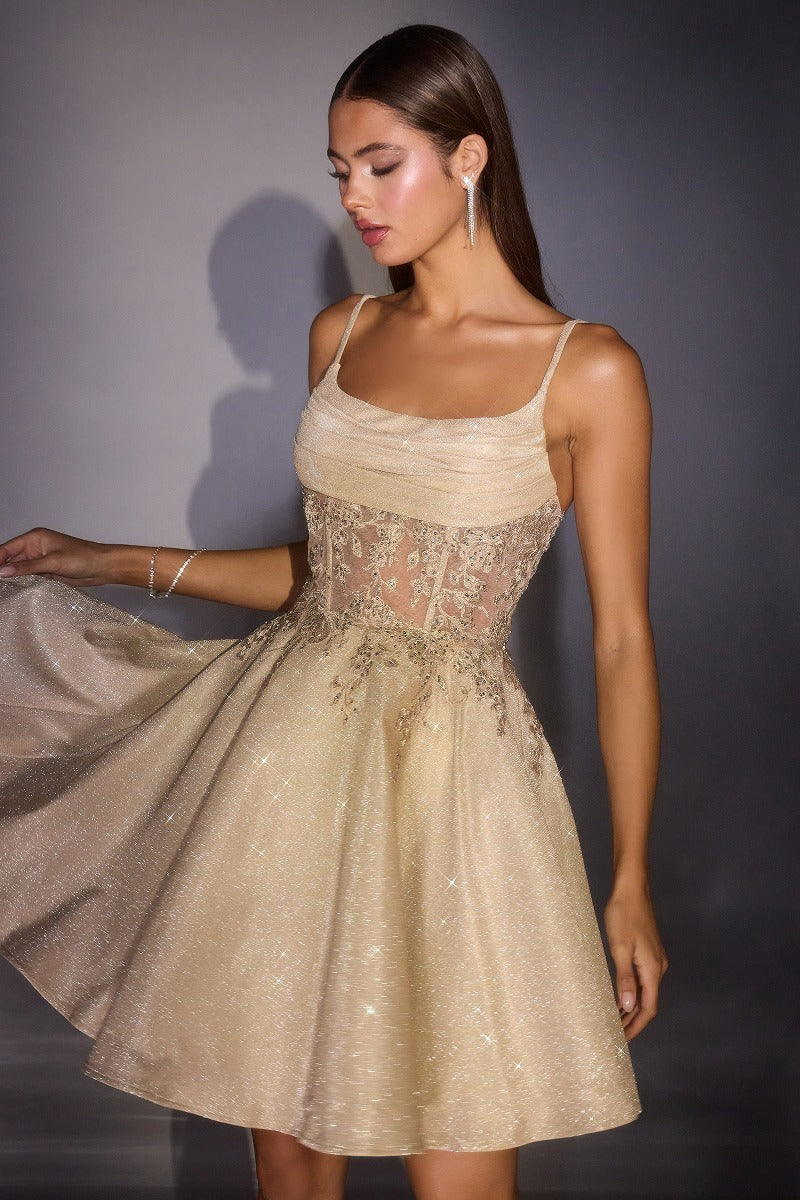 Sparkling Glitter Fit and Flare Mini Dress with Sheer Lace Corset Bodice-3
