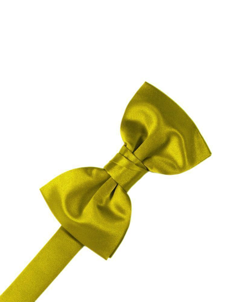 Luxury Satin Kids Bow Tie-66