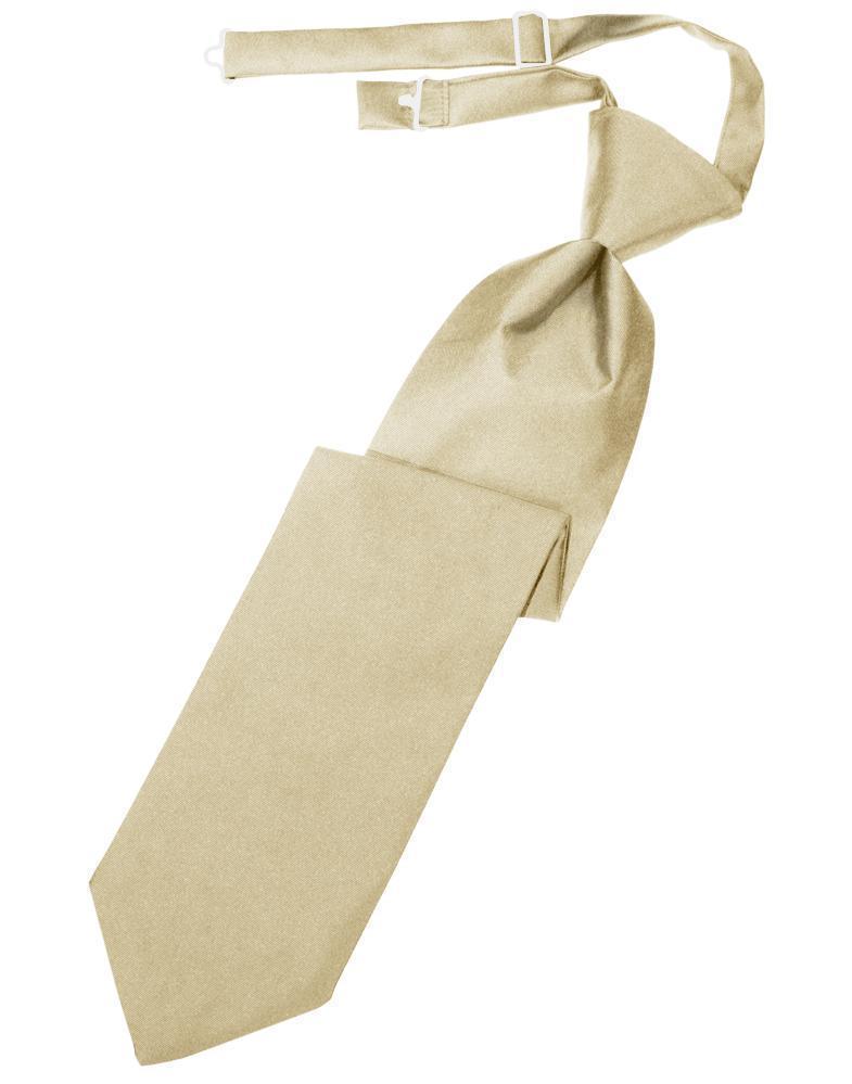 Luxury Satin Necktie Pre-Tied-4