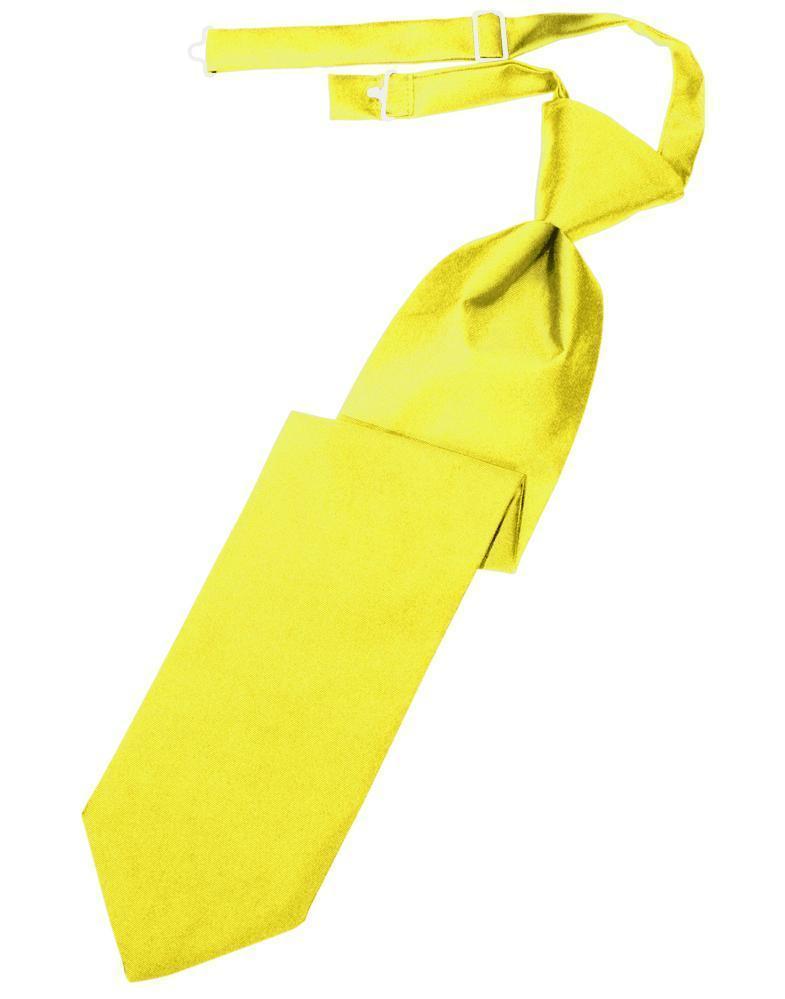 Luxury Satin Necktie Pre-Tied-33