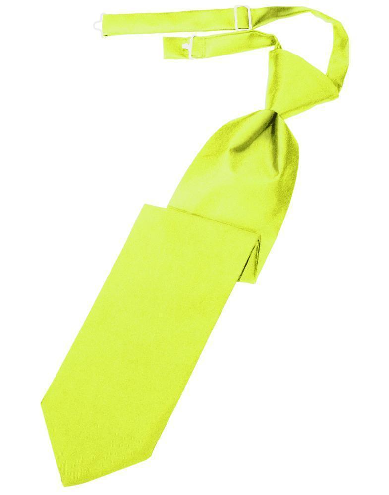 Luxury Satin Necktie Pre-Tied-35