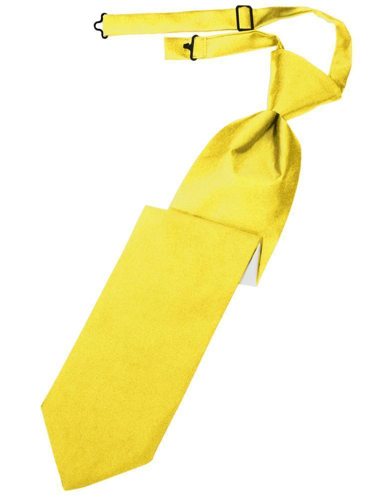 Luxury Satin Necktie Pre-Tied-62
