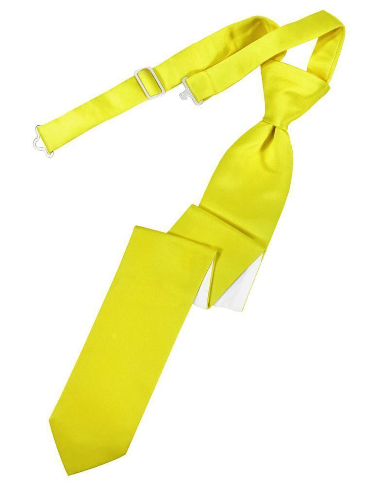 Luxury Satin Skinny Necktie Pre-Tied-34