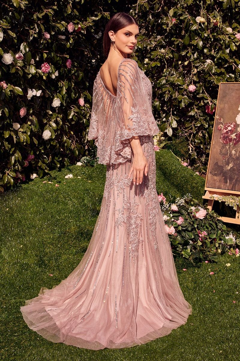 Lace Fitted Caplet Gown-1