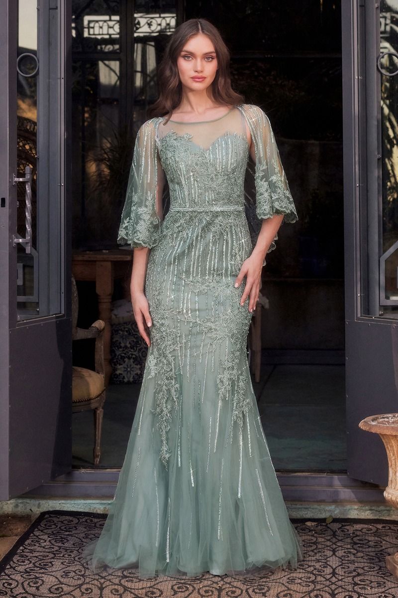Lace Fitted Caplet Gown-3