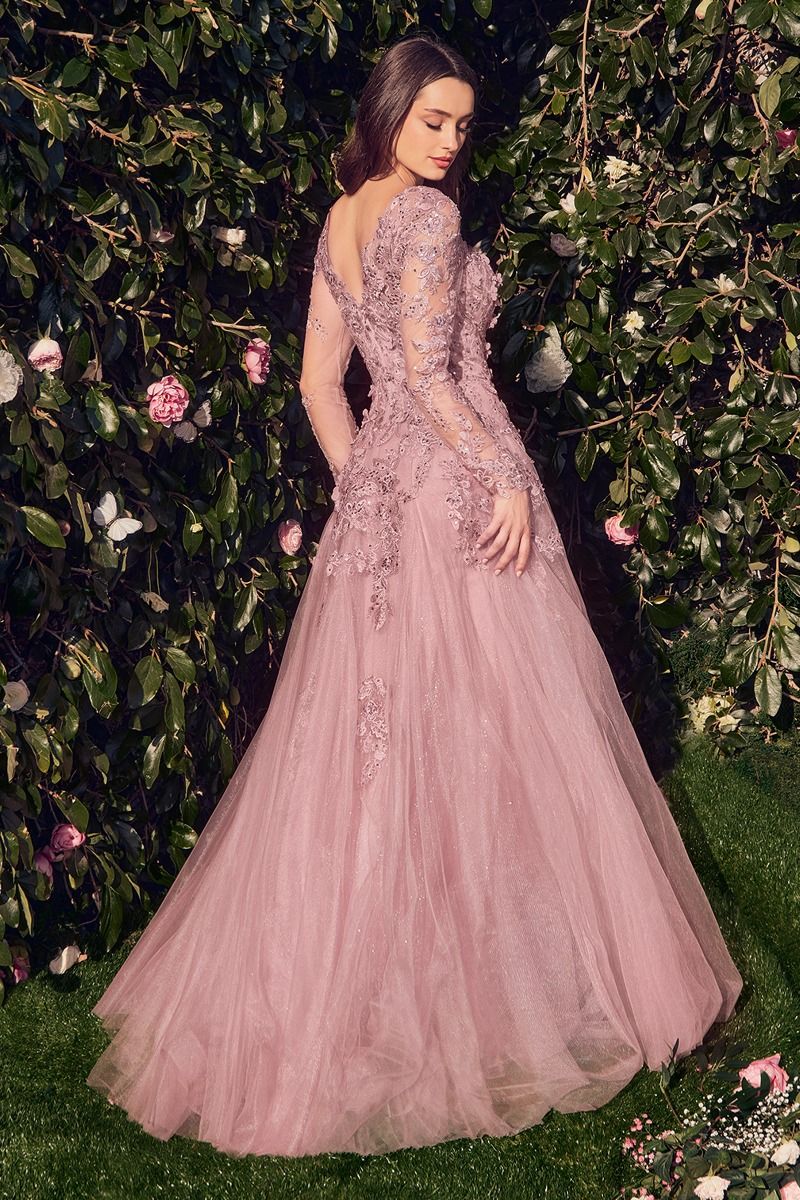 Lace Layered Tulle Long Sleeve Gown-2