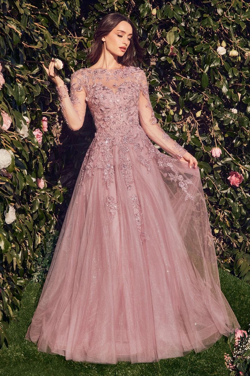 Lace Layered Tulle Long Sleeve Gown-3