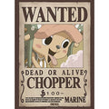 One Piece Tony Chopper Wanted Poster