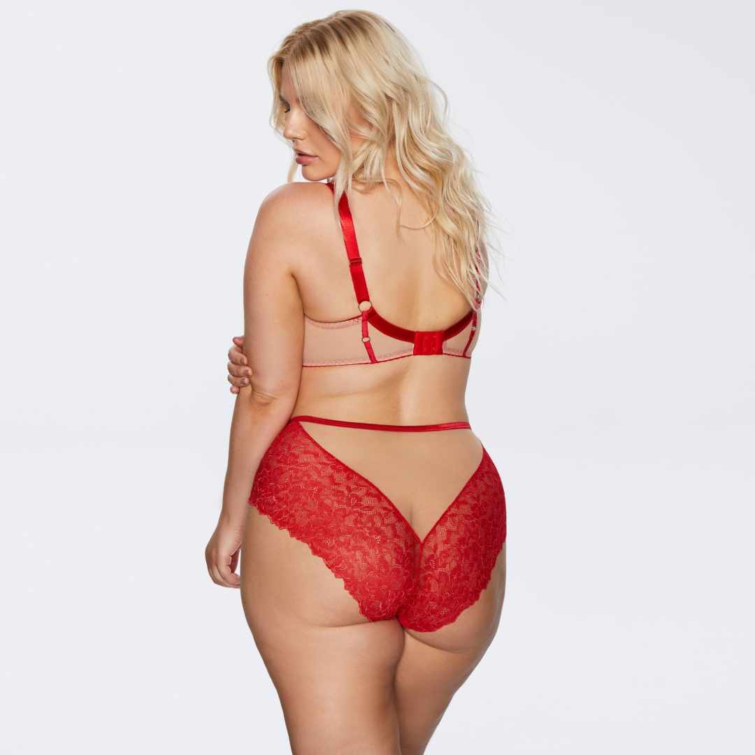 Sheer Mesh Full Busted Lace Bra Kinga Mind Love-3