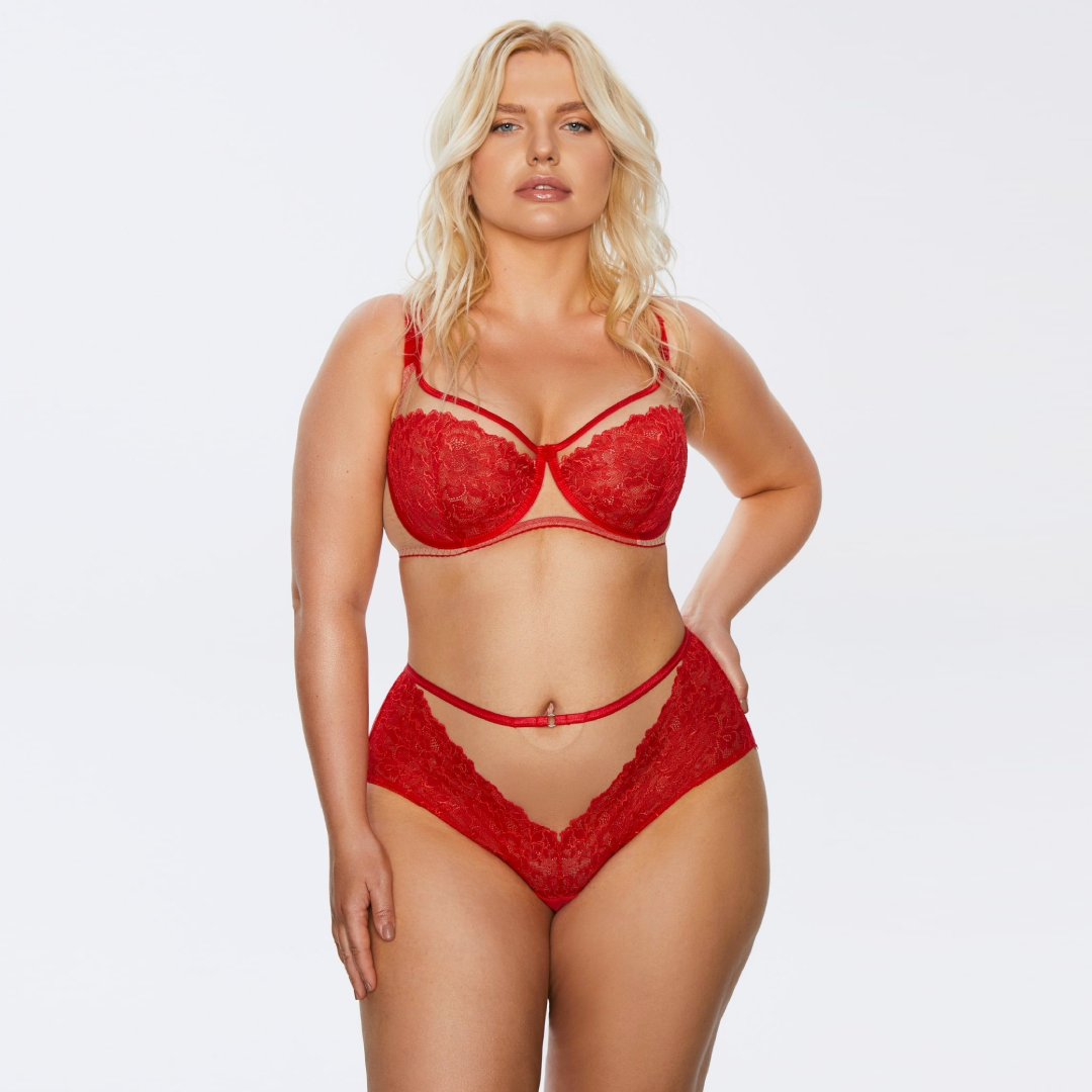 Soft Lace High Waist Brief Panty Kinga Mind Love-2