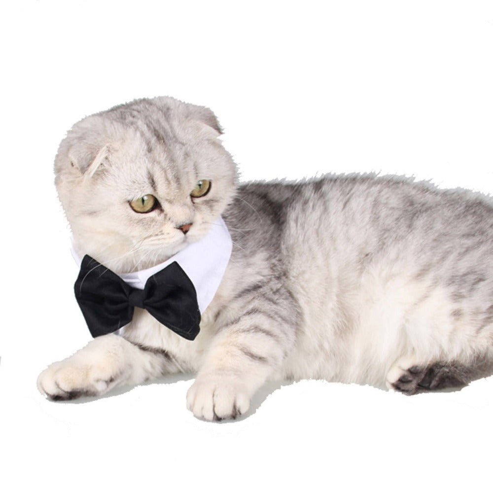 Pets Dog-Cat Bow Tie Adjustable-2