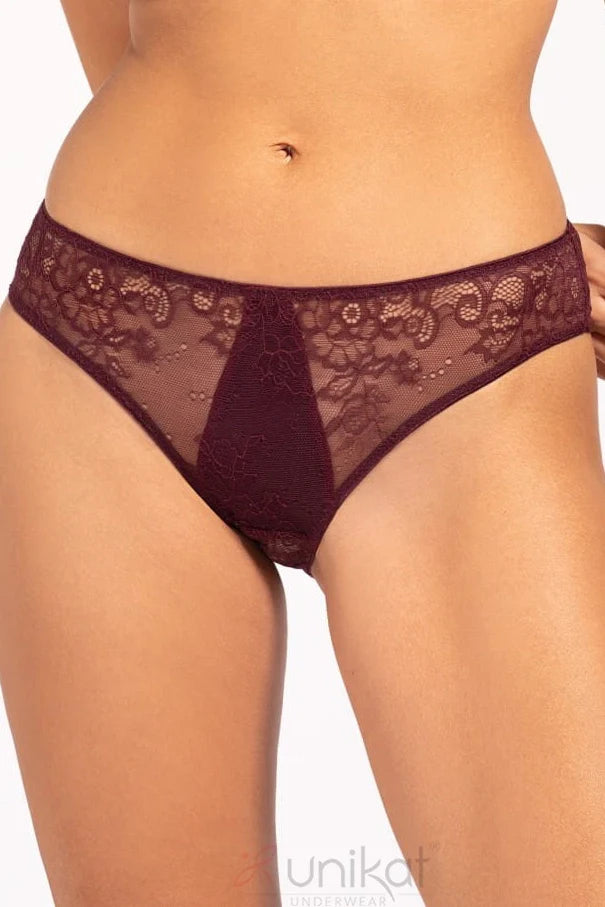 Sheer Mesh Lace Low Rise Bikini Panty Caro-0