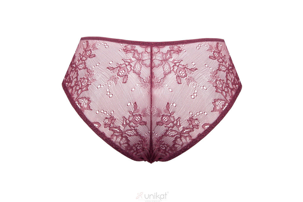 Sheer Mesh Lace Low Rise Bikini Panty Caro-2
