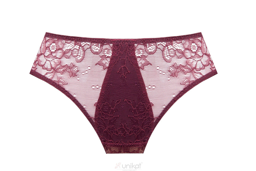 Sheer Mesh Lace Low Rise Bikini Panty Caro-1