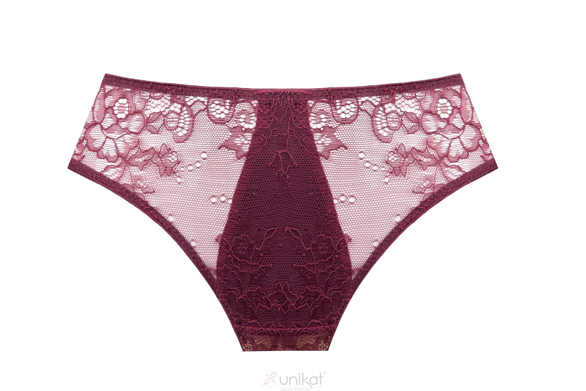 Sheer Mesh Lace Low Rise Bikini Panty Caro-1