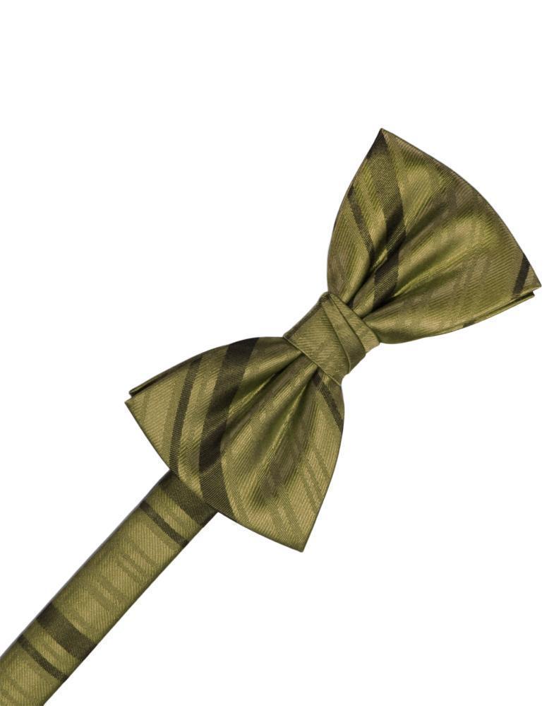 Striped Satin Bow Tie Pre-Tie-16