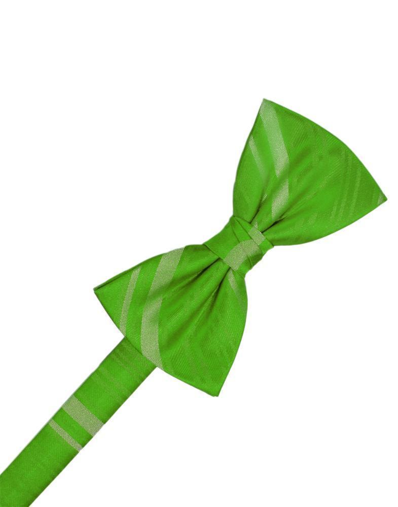 Striped Satin Bow Tie Pre-Tie-27