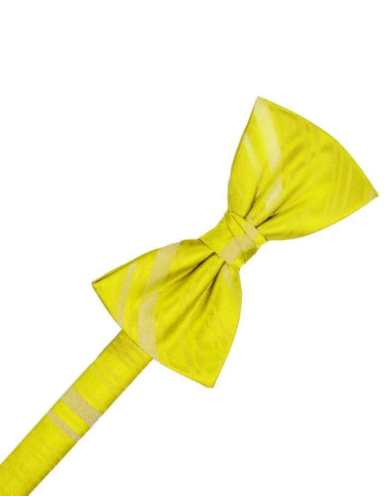 Striped Satin Bow Tie Pre-Tie-30