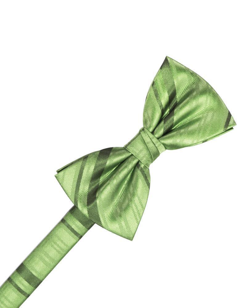 Striped Satin Bow Tie Pre-Tie-51