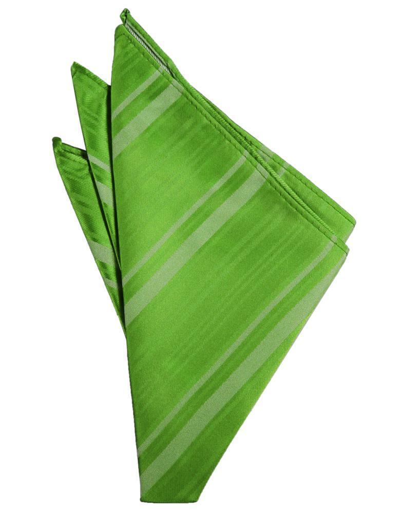 Striped Satin Pocket Square-28
