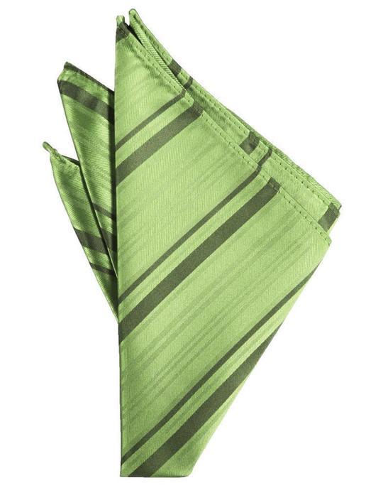 Striped Satin Pocket Square-51