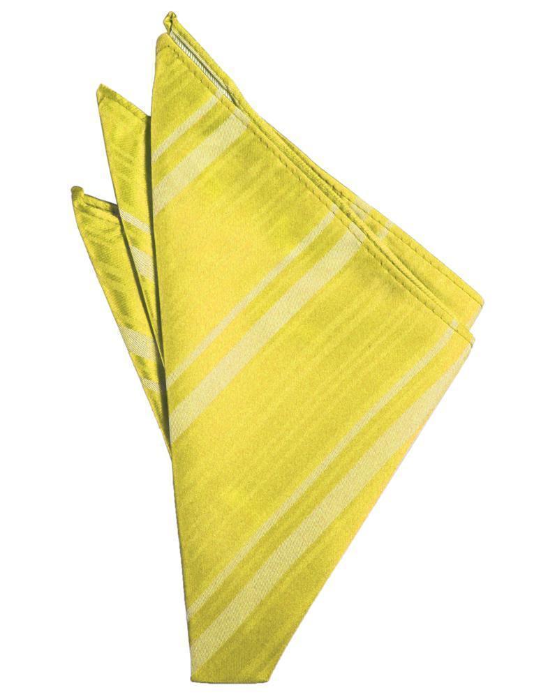 Striped Satin Pocket Square-55