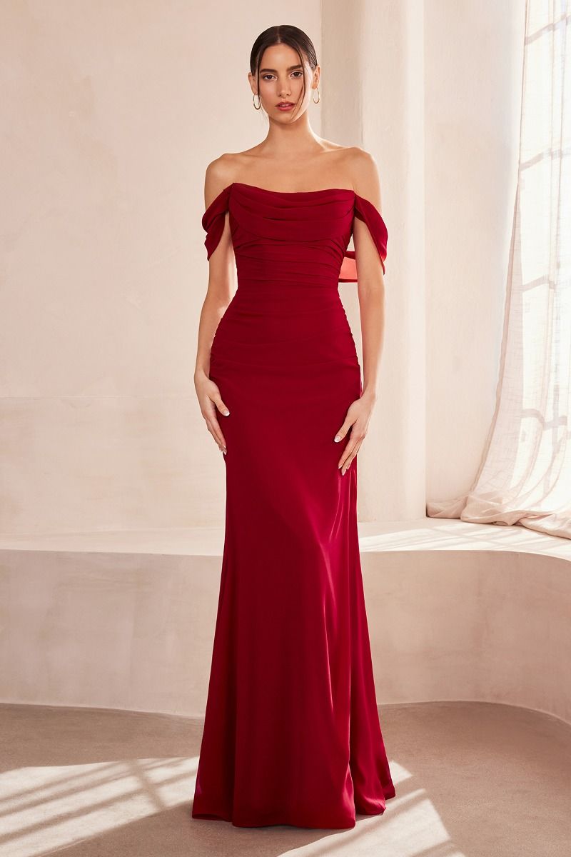 Off The Shoulder Round Neck Chiffon Fitted Dress-1
