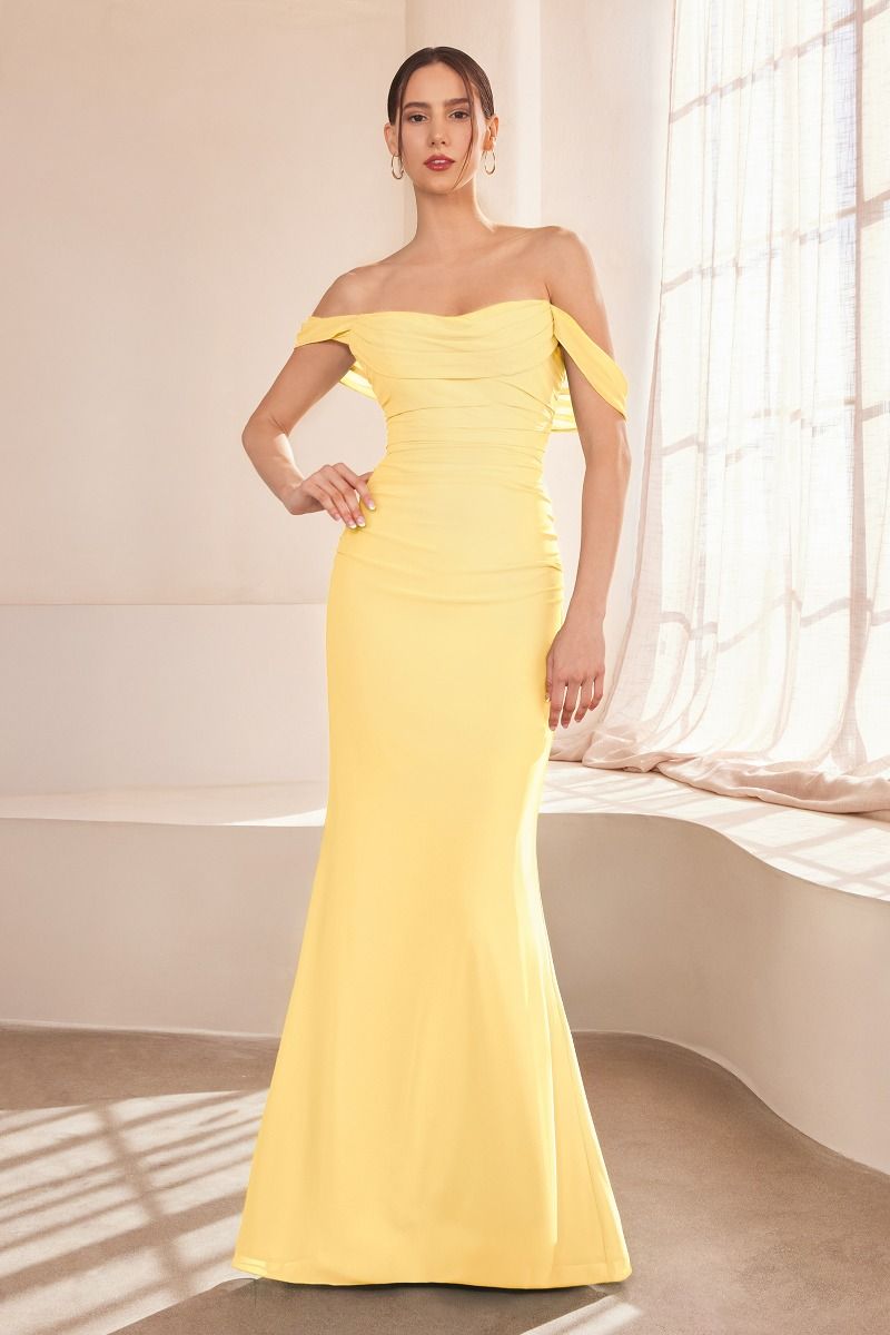 Off The Shoulder Round Neck Chiffon Fitted Dress-3