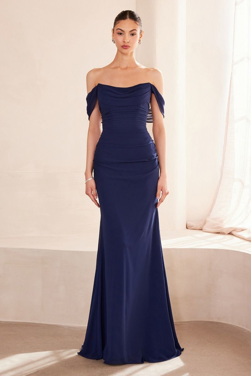 Off The Shoulder Round Neck Chiffon Fitted Dress-4