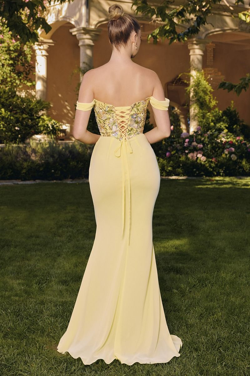 Neckline With Embroidered With Floral Chiffon-1