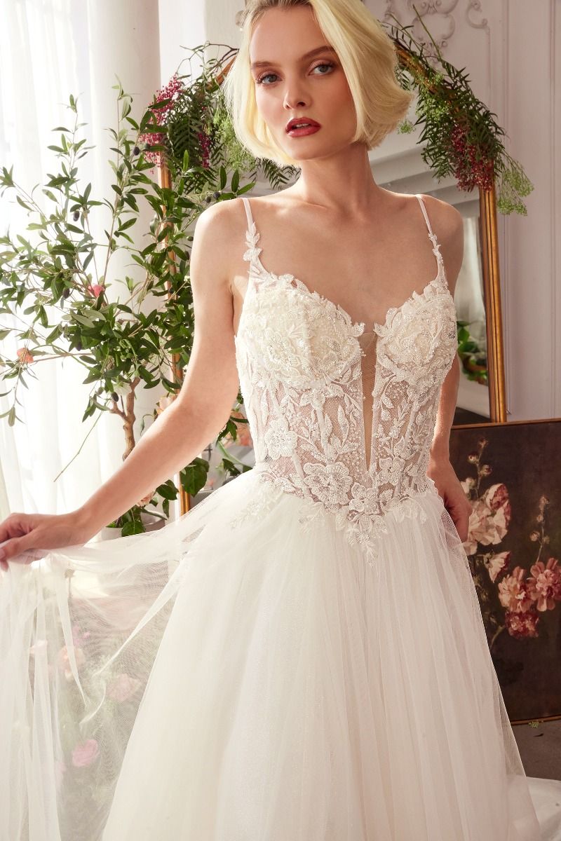 Floral Lace V-Neck Bridal Ball Gown with Tulle Skirt-1
