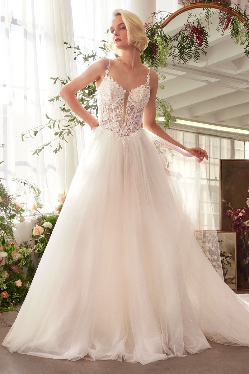 Floral Lace V-Neck Bridal Ball Gown with Tulle Skirt-3